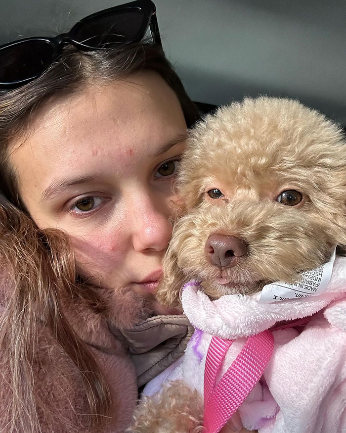 &ldquo;That&rsquo;s Not Okay!&rdquo;: Millie Bobby Brown Fans Divided Over Her Dog&rsquo;s &ldquo;Diabolical&rdquo; New Haircut