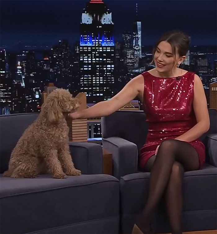 &ldquo;That&rsquo;s Not Okay!&rdquo;: Millie Bobby Brown Fans Divided Over Her Dog&rsquo;s &ldquo;Diabolical&rdquo; New Haircut