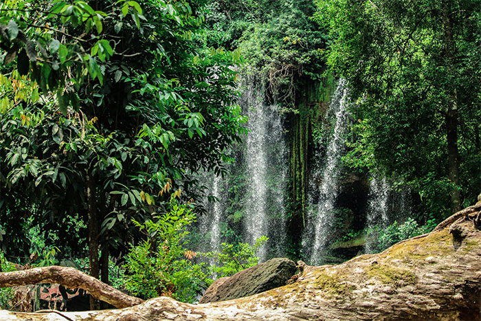 Waterfall surrounded by lush green forest, a hyped travel destination.