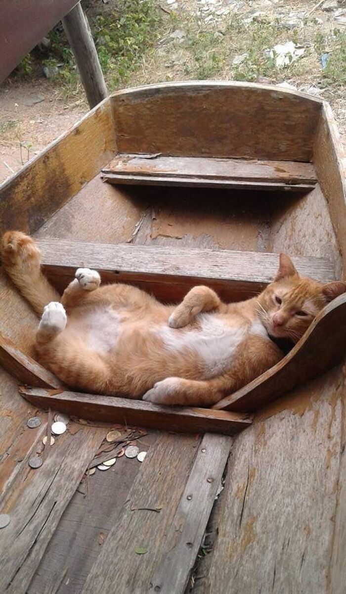 He Feels Comfortable In Here!! 😂😂