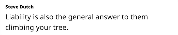 Guy Gets Bulldog To Keep Kids Away From Using His Pool Without Permission, Plan Works Beautifully Guy Gets Bulldog To Keep Kids Away From Using His Pool Without Permission, Plan Works Beautifully