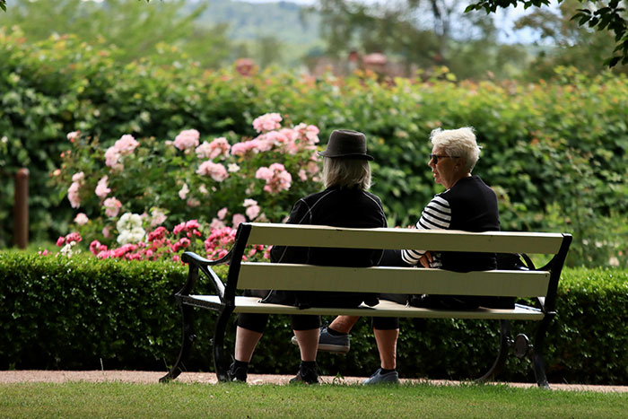 Two seniors sitting on a park bench, surrounded by blooming roses, engaging in conversation.