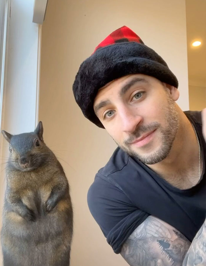 "Feels So Unjust": Fans Devastated After Famous Squirrel Is Seized And Euthanized By Authorities "Feels So Unjust": Fans Devastated After Famous Squirrel Is Seized And Euthanized By Authorities