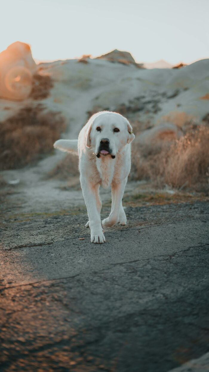 50 Reassuring Facts Not Everyone Might Be Aware Of, According To People Online