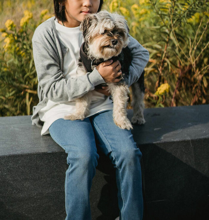 Child sitting with a small dog on a bench in a garden, evoking the warmth of family secrets.