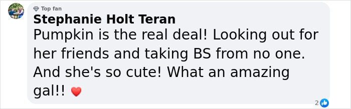 This Astoundingly Adorable Capybara Named Pumpkin Is Melting Hearts All Over The Internet This Astoundingly Adorable Capybara Named Pumpkin Is Melting Hearts All Over The Internet