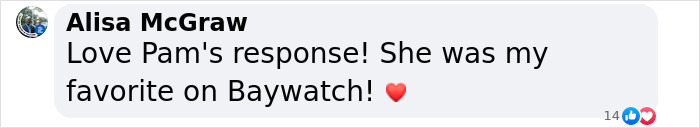 Pamela Anderson Reacts to Beyonc&eacute;'s Halloween Tribute as 'Barb Wire': "Don't Call Me Bey"