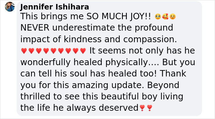 Wounded Puffy-Cheeked Dog Changes Incredibly After Rescue Wounded Puffy-Cheeked Dog Changes Incredibly After Rescue