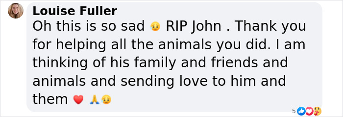 "So Heartbreaking": Vet Ends His Life After Rich Owners Neglected Pets And Demanded Euthanasia "So Heartbreaking": Vet Ends His Life After Rich Owners Neglected Pets And Demanded Euthanasia