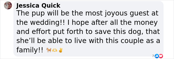 Couple Rescue Injured And Abandoned Dog, Use Their Wedding Fund To Save Her Life Couple Rescue Injured And Abandoned Dog, Use Their Wedding Fund To Save Her Life