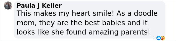 Couple Rescue Injured And Abandoned Dog, Use Their Wedding Fund To Save Her Life Couple Rescue Injured And Abandoned Dog, Use Their Wedding Fund To Save Her Life