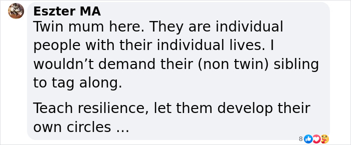 Comment from twin mom on sibling individuality and resilience. Comment from twin mom on sibling individuality and resilience.