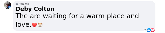 Lovely Pitbull Can&rsquo;t Stop Hugging Woman Who Gave Him Foster Home, Goes Viral When Pics Spread Online