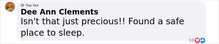 Baby Fur Seal Ventures Inland And Falls Asleep Outside Family’s Door, Goes Viral Once Discovered Baby Fur Seal Ventures Inland And Falls Asleep Outside Family’s Door, Goes Viral Once Discovered