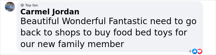 Baby Fur Seal Ventures Inland And Falls Asleep Outside Family’s Door, Goes Viral Once Discovered Baby Fur Seal Ventures Inland And Falls Asleep Outside Family’s Door, Goes Viral Once Discovered