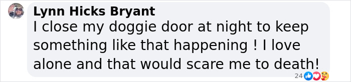 Baby Fur Seal Ventures Inland And Falls Asleep Outside Family’s Door, Goes Viral Once Discovered Baby Fur Seal Ventures Inland And Falls Asleep Outside Family’s Door, Goes Viral Once Discovered