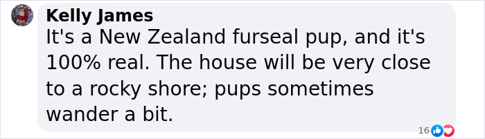 Baby Fur Seal Ventures Inland And Falls Asleep Outside Family’s Door, Goes Viral Once Discovered Baby Fur Seal Ventures Inland And Falls Asleep Outside Family’s Door, Goes Viral Once Discovered