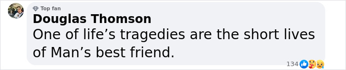 This Man Found A Beautiful Way To Relive The Final Memory With His Dog Who Passed Away This Man Found A Beautiful Way To Relive The Final Memory With His Dog Who Passed Away