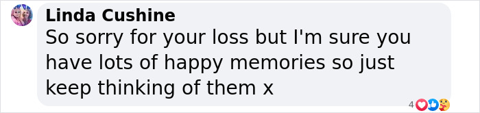 This Man Found A Beautiful Way To Relive The Final Memory With His Dog Who Passed Away This Man Found A Beautiful Way To Relive The Final Memory With His Dog Who Passed Away