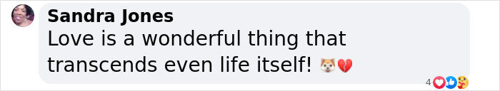 This Man Found A Beautiful Way To Relive The Final Memory With His Dog Who Passed Away This Man Found A Beautiful Way To Relive The Final Memory With His Dog Who Passed Away