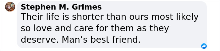 This Man Found A Beautiful Way To Relive The Final Memory With His Dog Who Passed Away This Man Found A Beautiful Way To Relive The Final Memory With His Dog Who Passed Away