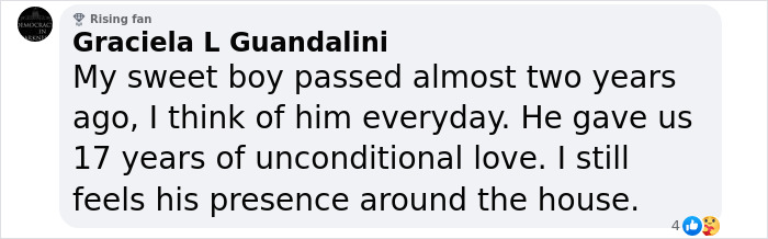 This Man Found A Beautiful Way To Relive The Final Memory With His Dog Who Passed Away This Man Found A Beautiful Way To Relive The Final Memory With His Dog Who Passed Away