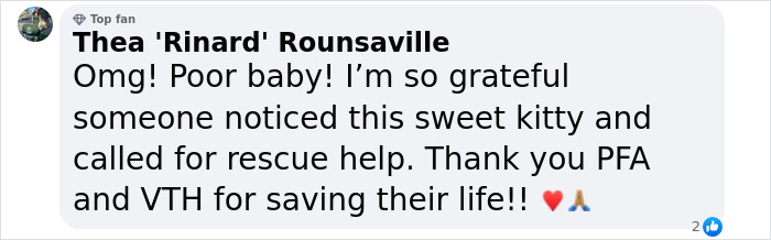 Kitty Trapped In Dumpster Gets Rescued By Firefighters With Heavy Machinery, And Netizens Are Happy Kitty Trapped In Dumpster Gets Rescued By Firefighters With Heavy Machinery, And Netizens Are Happy