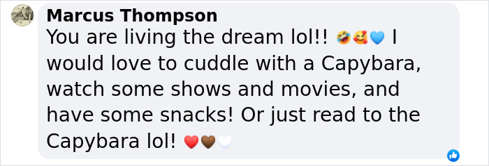 This Astoundingly Adorable Capybara Named Pumpkin Is Melting Hearts All Over The Internet This Astoundingly Adorable Capybara Named Pumpkin Is Melting Hearts All Over The Internet