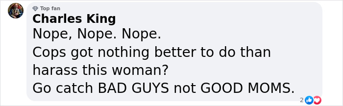 Mom Arrested For Letting 10-Year-Old Son Walk Alone, Community Raises Over $55k To Help Her