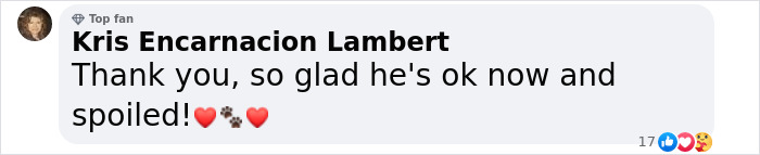 Wounded Puffy-Cheeked Dog Changes Incredibly After Rescue Wounded Puffy-Cheeked Dog Changes Incredibly After Rescue