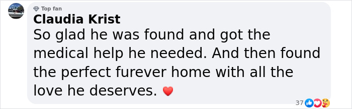 Wounded Puffy-Cheeked Dog Changes Incredibly After Rescue Wounded Puffy-Cheeked Dog Changes Incredibly After Rescue