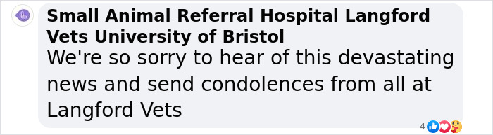 "So Heartbreaking": Vet Ends His Life After Rich Owners Neglected Pets And Demanded Euthanasia "So Heartbreaking": Vet Ends His Life After Rich Owners Neglected Pets And Demanded Euthanasia