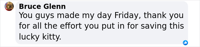 Kitty Trapped In Dumpster Gets Rescued By Firefighters With Heavy Machinery, And Netizens Are Happy Kitty Trapped In Dumpster Gets Rescued By Firefighters With Heavy Machinery, And Netizens Are Happy