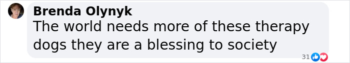 Comment praising therapy dogs as a blessing to society.