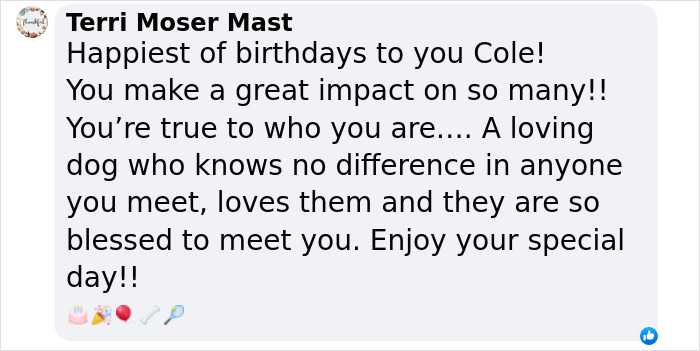 Message celebrating therapy dog's birthday, highlighting impact and love shown by school kids learning sign language.