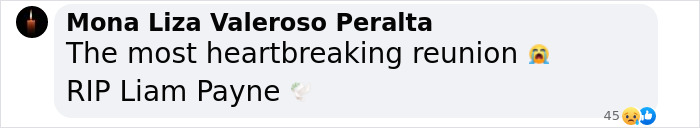 "Nobody Should Have To Bury Their Child": Fans Are Emotional Over Liam Payne's Funeral Photos