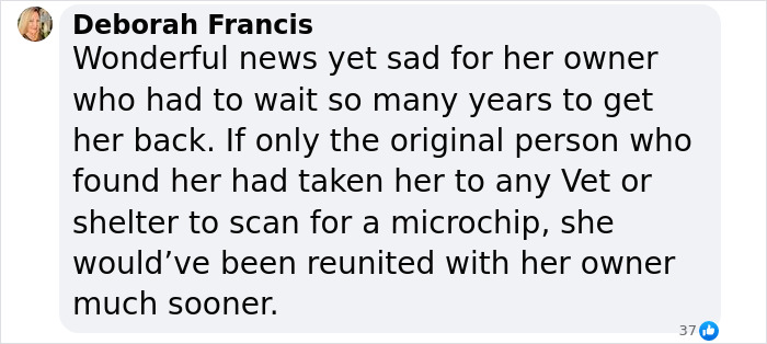 Texas Dog Who Was Missing For 7 Years Was Found Abandoned In Florida, Barely Able To Walk Texas Dog Who Was Missing For 7 Years Was Found Abandoned In Florida, Barely Able To Walk