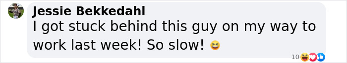 Man In Brazil Documented Hilariously Adorable Encounter With A Wild Sloth Man In Brazil Documented Hilariously Adorable Encounter With A Wild Sloth