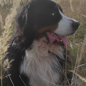 alvia-vseobecna avatar