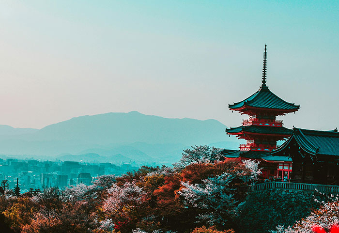 “Commit Some Crimes, Go To Prison”: 40 People Share Where They Would Move To If Given The Chance