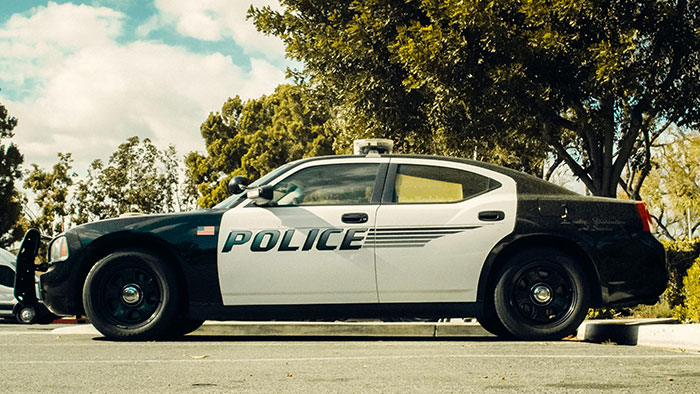 Police car parked in a handicapped spot surrounded by trees.