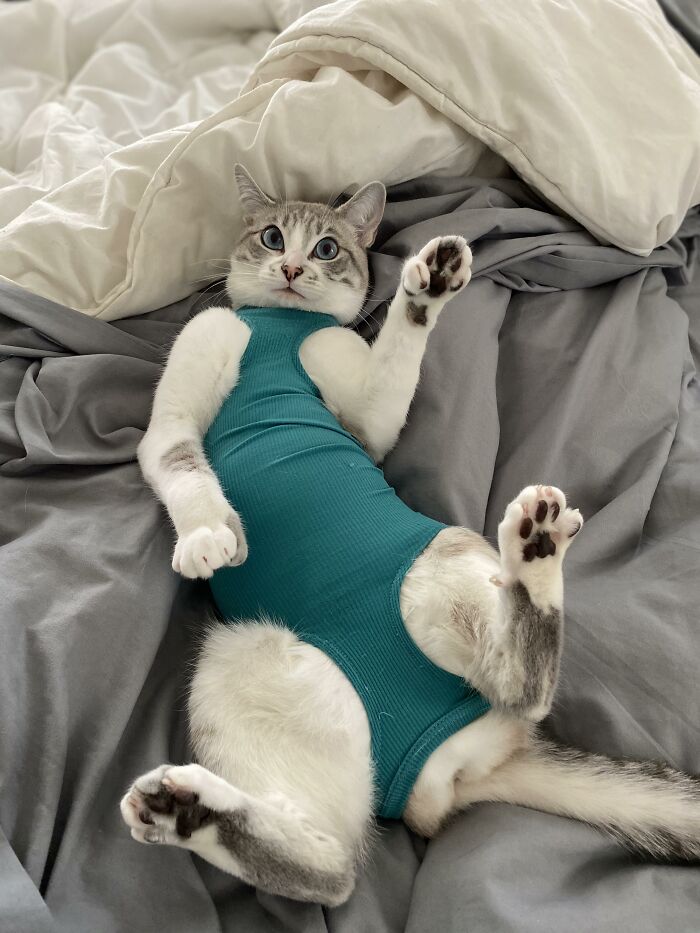 Can A Post-Surgery Belly Get Some Love?