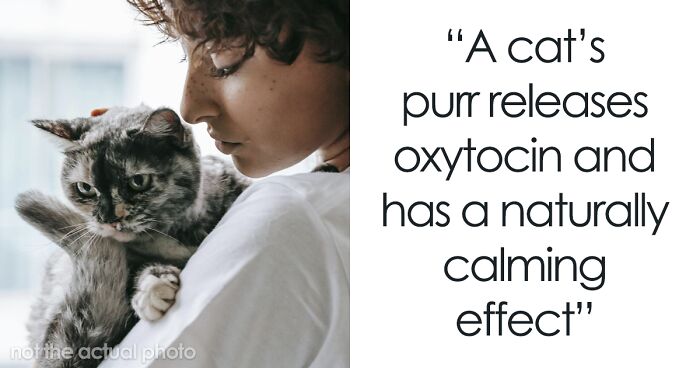 50 Reassuring Facts Not Everyone Might Be Aware Of, According To People Online