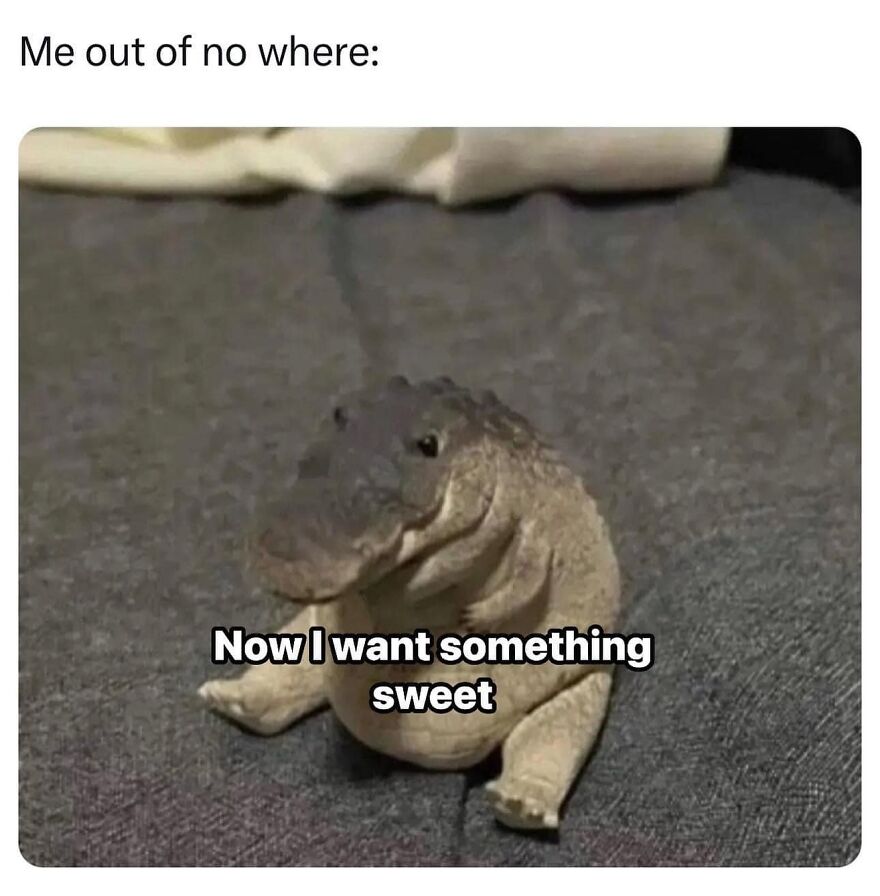 Relatable-Daily-Memes