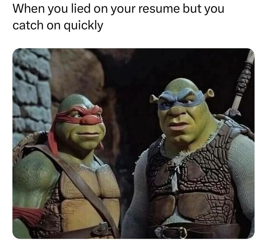 Two characters with masks, resembling turtles, humorously depicting quick learning from resume embellishment.