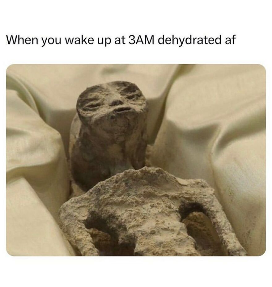 Funny meme of a withered figure, humorously depicting extreme dehydration at 3 AM.