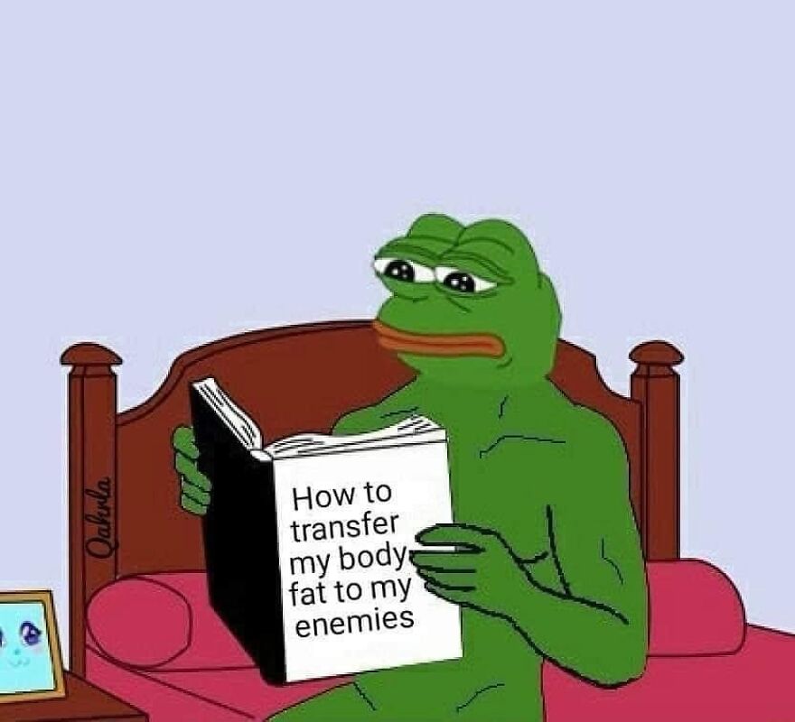 Pepe the Frog reading a funny meme book in bed for a laugh.