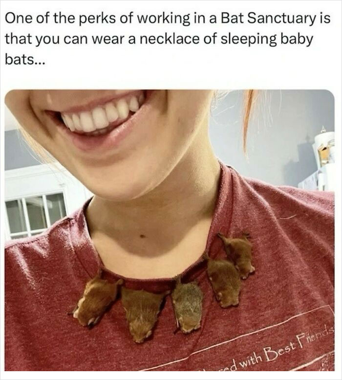 Smiling person wears baby bats resting like a necklace, illustrating spot-on funny tweets.