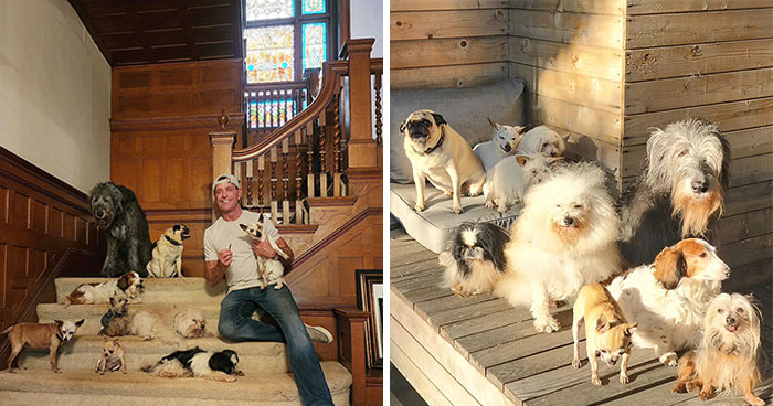 Retiree Is On A Mission To Give Loving Home Exclusively To Senior Dogs In Need