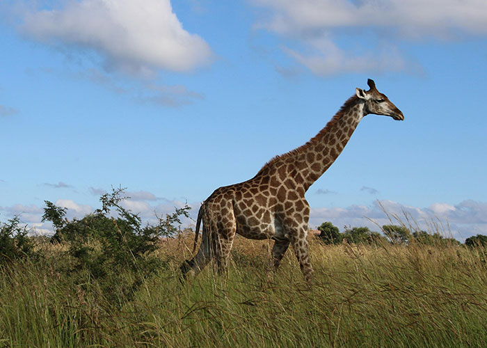 45 Times Rich People Were Completely Blind To Their Privilege